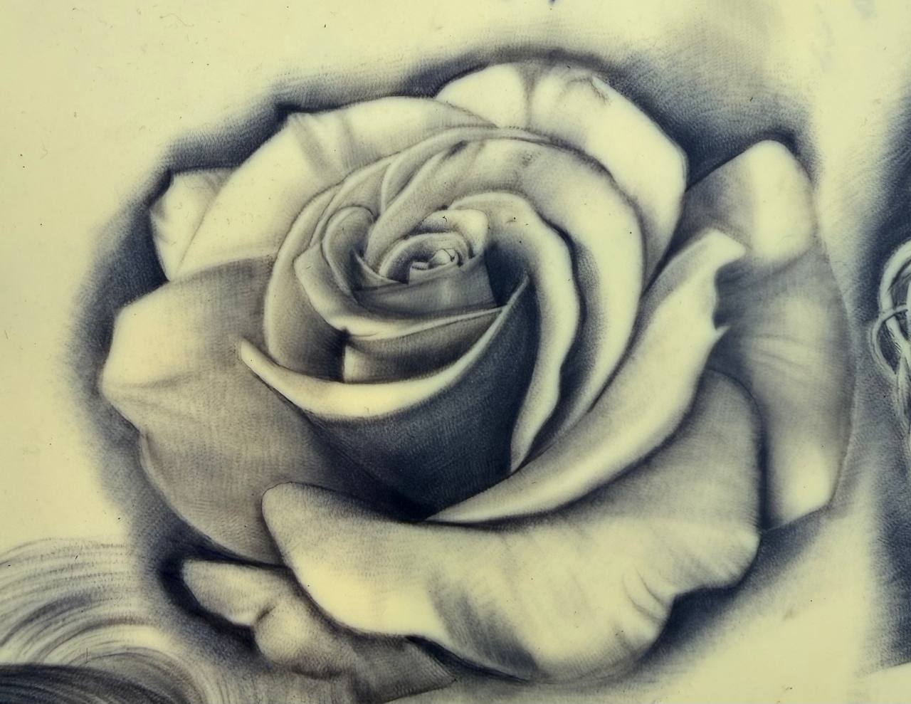 آموزش نقاشی سیاه قلم مسلم عالمی